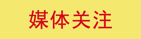 媒体关注